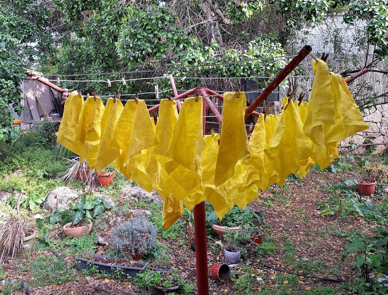Yellow rags drying on washing line